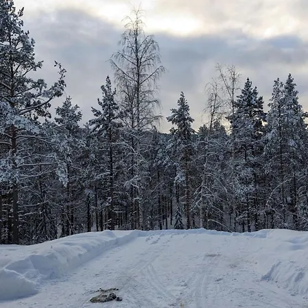 Turibu - Cabin In A Nice Hiking And Skiing Area