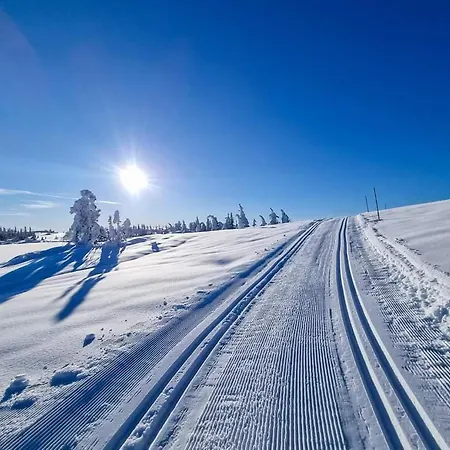 Turibu - Cabin In A Nice Hiking And Skiing Area * 콩스베르그