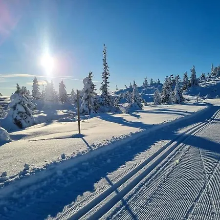Turibu - Cabin In A Nice Hiking And Skiing Area 펜션 *