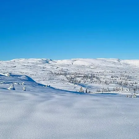 펜션 Turibu - Cabin In A Nice Hiking And Skiing Area 콩스베르그